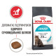 Royal Canin Urinary Care сухой корм для поддержания здоровья мочевыводящих путей у котов 400 гр - фото 3