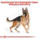 Royal Canin German Shepherd Adult сухой корм для собак породы немецкая овчарка 11 кг - фото 2