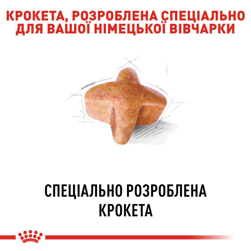 Royal Canin German Shepherd Adult сухой корм для собак породы немецкая овчарка 11 кг - фото 3