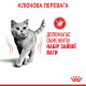 Royal Canin Light Weight Care сухой корм для снижения веса у котов 1.5 кг - фото 5