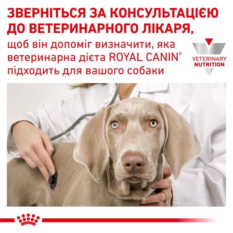 Royal Canin Skin Care Adult Canine сухий корм при атопії та дерматозах у собак, 2 кг - фото 5