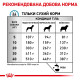 Royal Canin Skin Care Adult Canine сухий корм при атопії та дерматозах у собак, 2 кг - фото 6