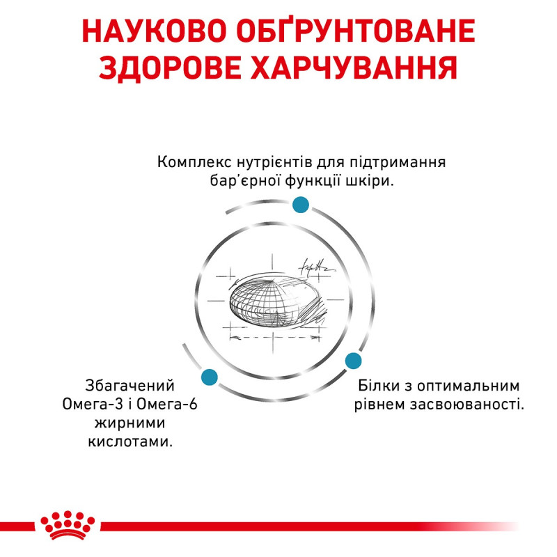 Royal Canin Skin Care Adult Canine сухий корм при атопії та дерматозах у собак, 11 кг - фото 2