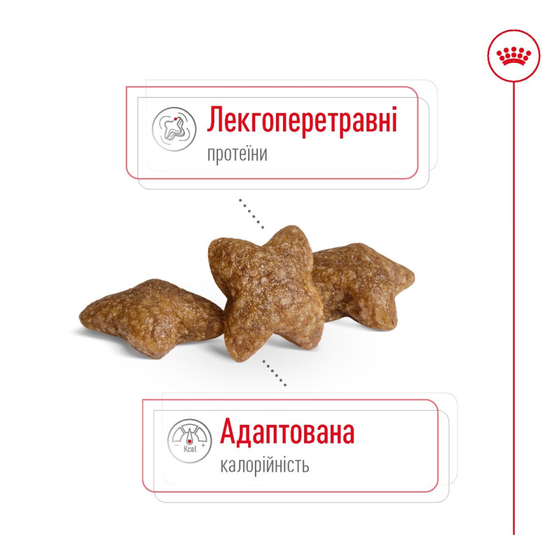Royal Canin Mini Adult сухой корм для собак мелких пород 0.8 кг - фото 3