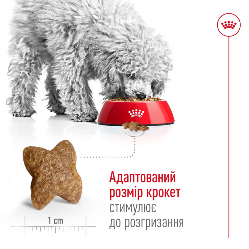 Royal Canin Mini Adult сухой корм для собак мелких пород 0.8 кг - фото 4