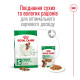 Royal Canin Mini Adult сухой корм для собак мелких пород 0.8 кг - фото 6