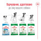 Royal Canin Mini Adult сухой корм для собак мелких пород 2 кг - фото 5