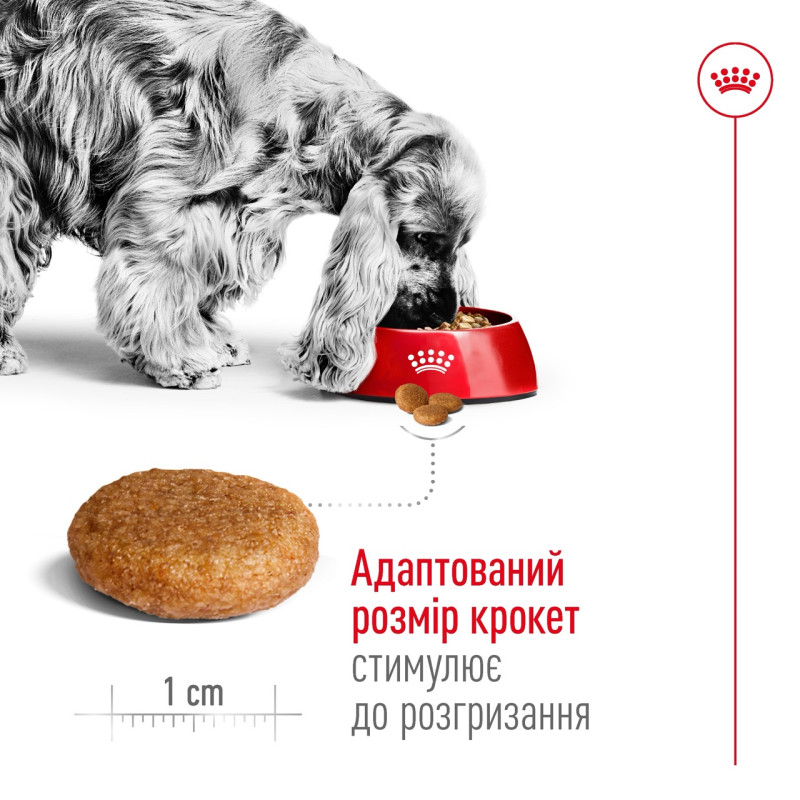 Royal Canin Medium Adult сухий корм для собак середніх порід 15 кг - фото 3