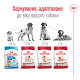 Royal Canin Medium Adult сухой корм для собак средних пород 15 кг - фото 5