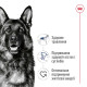 Royal Canin Maxi Adult сухой корм для собак крупных пород 4 кг - фото 2