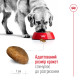 Royal Canin Maxi Adult сухой корм для собак крупных пород 4 кг - фото 4