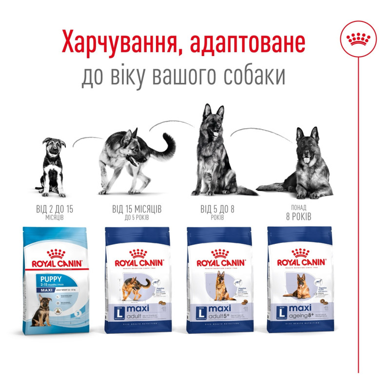 Royal Canin Maxi Adult сухой корм для собак крупных пород 4 кг - фото 5