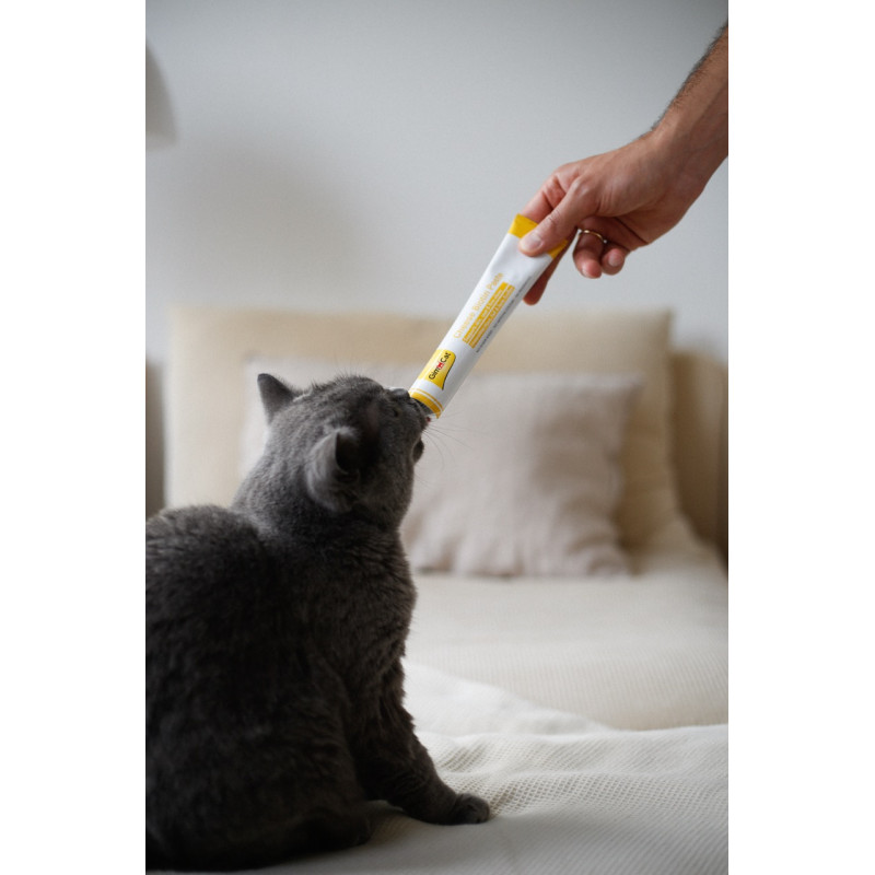 GimCat Cheese Biotin Paste паста для кошек для здоровья и красоты шерсти и кожи, 100 гр - фото 4