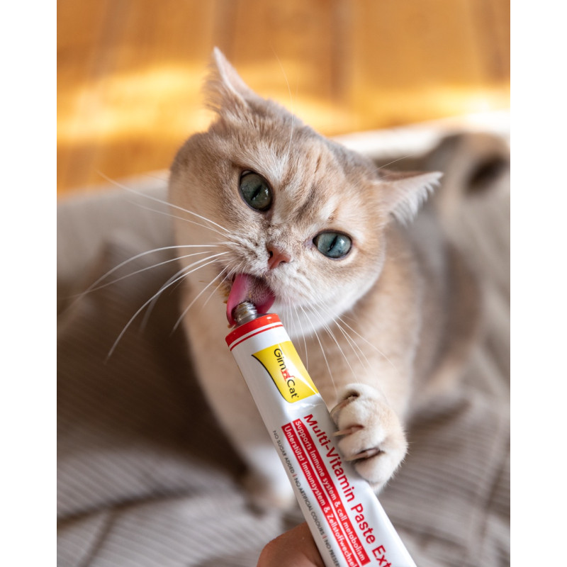 GimCat Multi-Vitamin Paste Extra мультивітамінна паста для котів, 200 гр - фото 4
