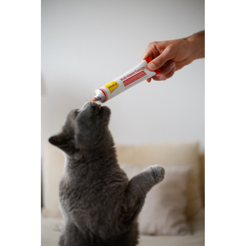 GimCat Multi-Vitamin Paste Extra мультивітамінна паста для котів, 200 гр - фото 5