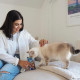 GimCat Nutri Pockets Fish лакомство для котов с тунцом, 60 гр - фото 3