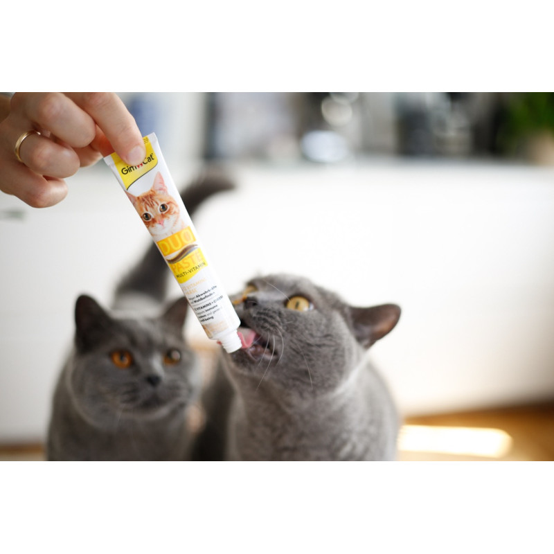 GimCat Duo Paste Multi-Vitamin 12 Vitamins With Cheese витаминизированная паста для кошек с сыром, 50 мл - фото 4