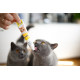 GimCat Duo Paste Multi-Vitamin 12 Vitamins With Cheese витаминизированная паста для кошек с сыром, 50 мл - фото 4