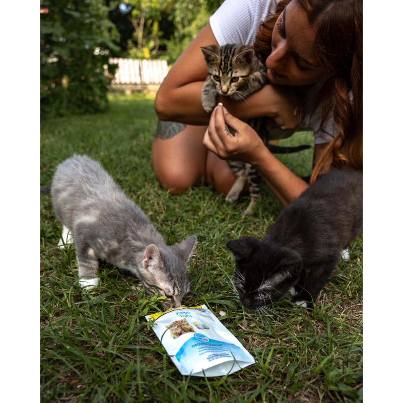 GimCat Every Day Kitten витамины для укрепления иммунитета у котят, 40 гр - фото 3