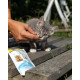 GimCat Every Day Kitten витамины для укрепления иммунитета у котят, 40 гр - фото 4