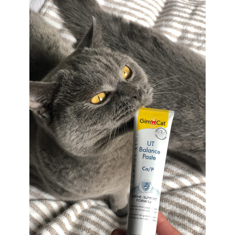 GimCat Expert Line UT Balance паста для профилактики заболеваний мочеполовой системы у кошек, 50 гр - фото 5