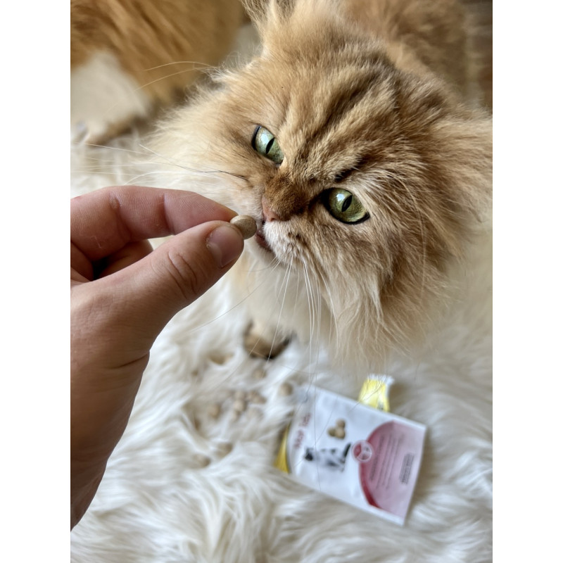 GimCat Every Day Malt Tabs витамины для улучшения выведения шерсти у кошек, 40 гр - фото 3