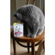 GimCat Every Day Malt Tabs витамины для улучшения выведения шерсти у кошек, 40 гр - фото 4
