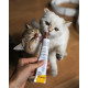 GimCat Kitten Paste мультивитаминная паста для укрепления иммунитета у котят, 50 гр - фото 3