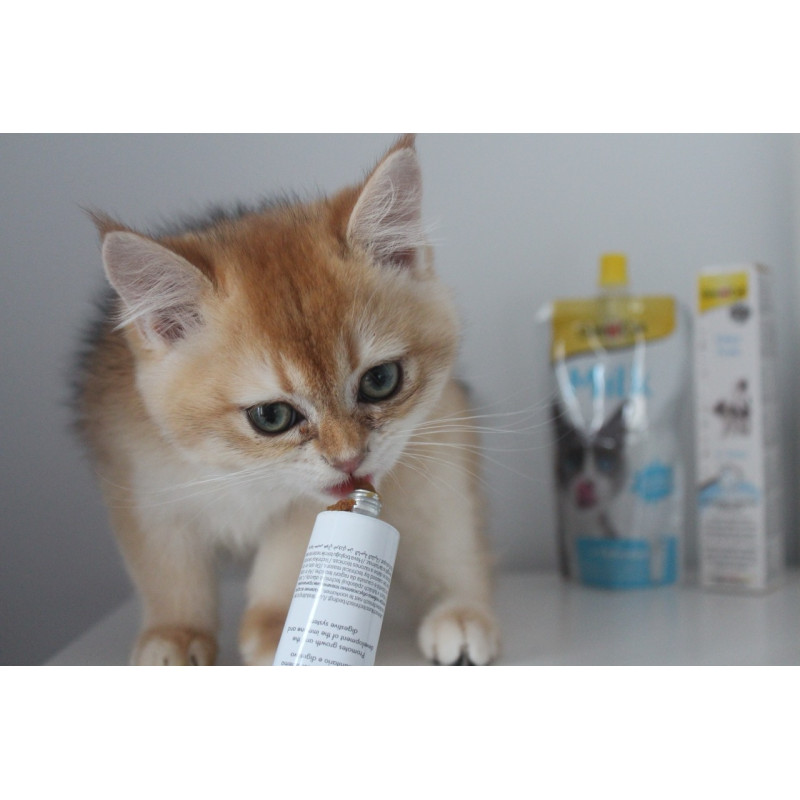 GimCat Kitten Paste мультивітамінна паста для зміцнення імунітету у кошенят, 50 гр - фото 4