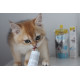 GimCat Kitten Paste мультивітамінна паста для зміцнення імунітету у кошенят, 50 гр - фото 4