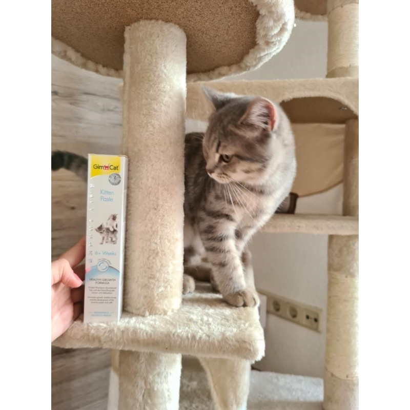 GimCat Kitten Paste мультивитаминная паста для укрепления иммунитета у котят, 50 гр - фото 5