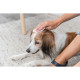 Trixie Coat-Care влажные салфетки по уходу за животными, 30 шт - фото 2