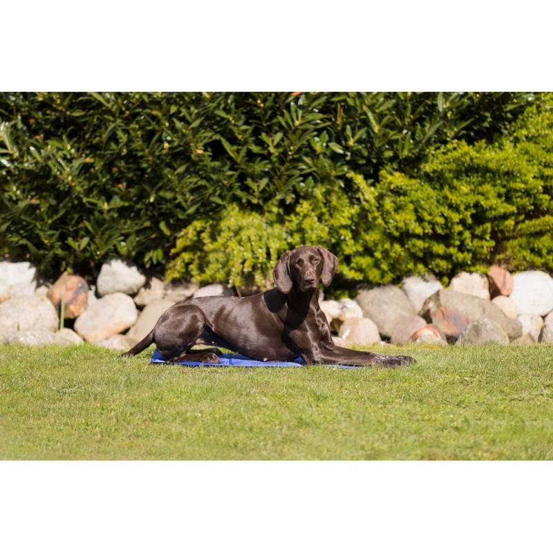 Trixie Cooling Pad коврик охлаждающий для собак и котов, 90 см х 50 см - фото 2