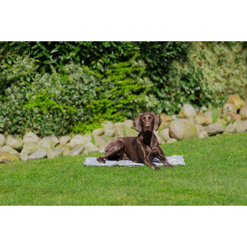 Trixie Cooling Pad килимок охолоджуючий для собак і котів, 110 см х 70 см - фото 6