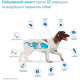 NexGard Spectra (Нексгард Спектра) Boehringer Ingelheim таблетки від бліх, кліщів та гельмінтів для собак вагою від 15 до 30 кг, 3 шт - фото 3