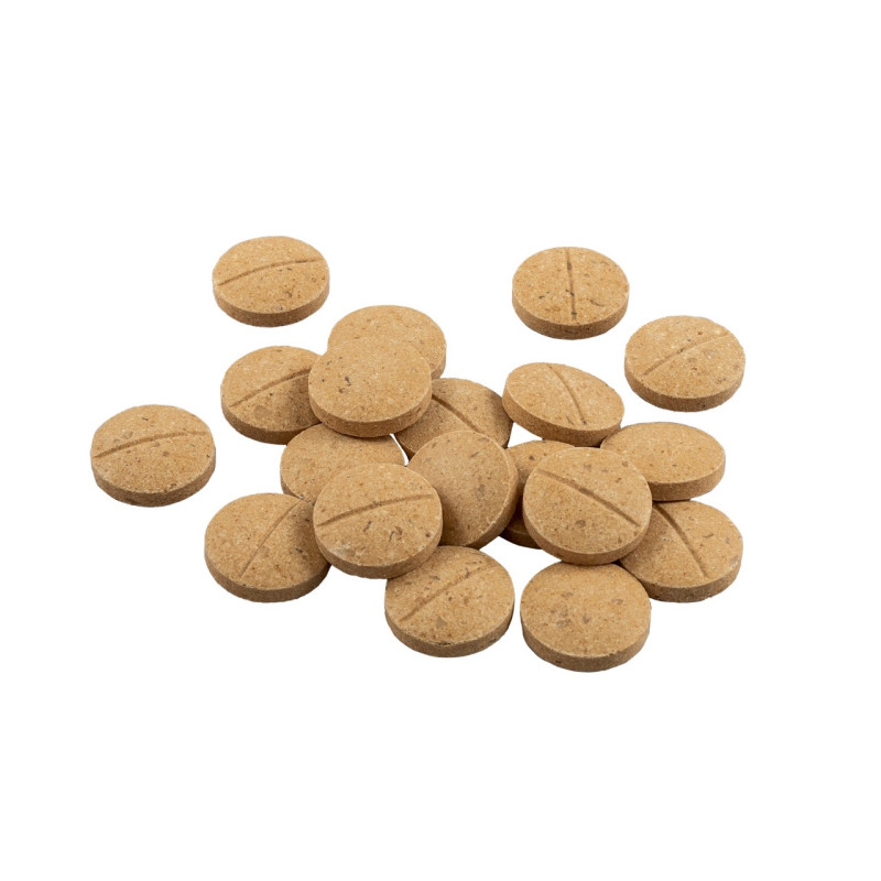 8in1 Excel Multi-Vitamin Adult Dog витамины для здоровья взрослых собак, 70 табл - фото 3