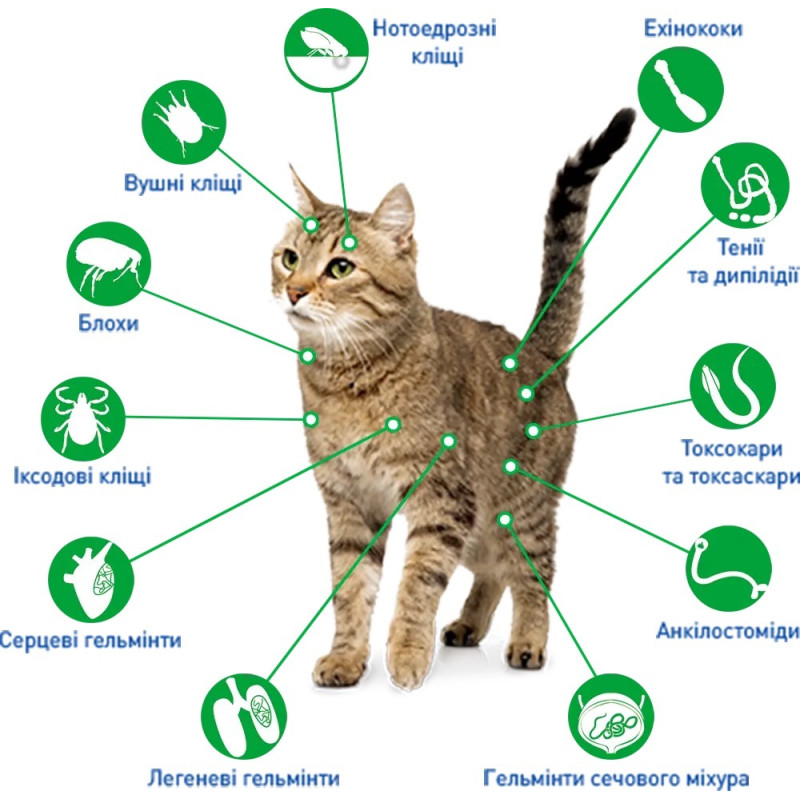 NexGard Combo (НексГард Комбо) капли от блох, клещей и гельминтов для котов весом до 2.5 кг, 3 шт - фото 3