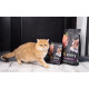 Savory Adult Cat Steril Fresh Lamb & Chicken сухий корм з ягнятком та куркою для стерилізованих котів, 8 кг - фото 4