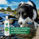 Menforsan Facial Cleaner For Dogs тонік для морди собак, що очищає, 60 мл - фото 6