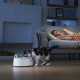 Catlink RFID Pet Feeder - Standard смарт-кормушка для собак и котов, 400 мл - фото 4