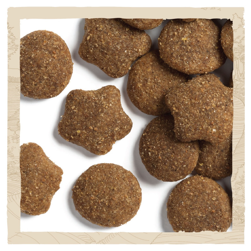 Dog Chow Puppy Large Breed сухий корм для цуценят великих порід 14 кг - фото 5