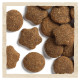 Dog Chow Puppy Large Breed сухий корм для цуценят великих порід 14 кг - фото 5