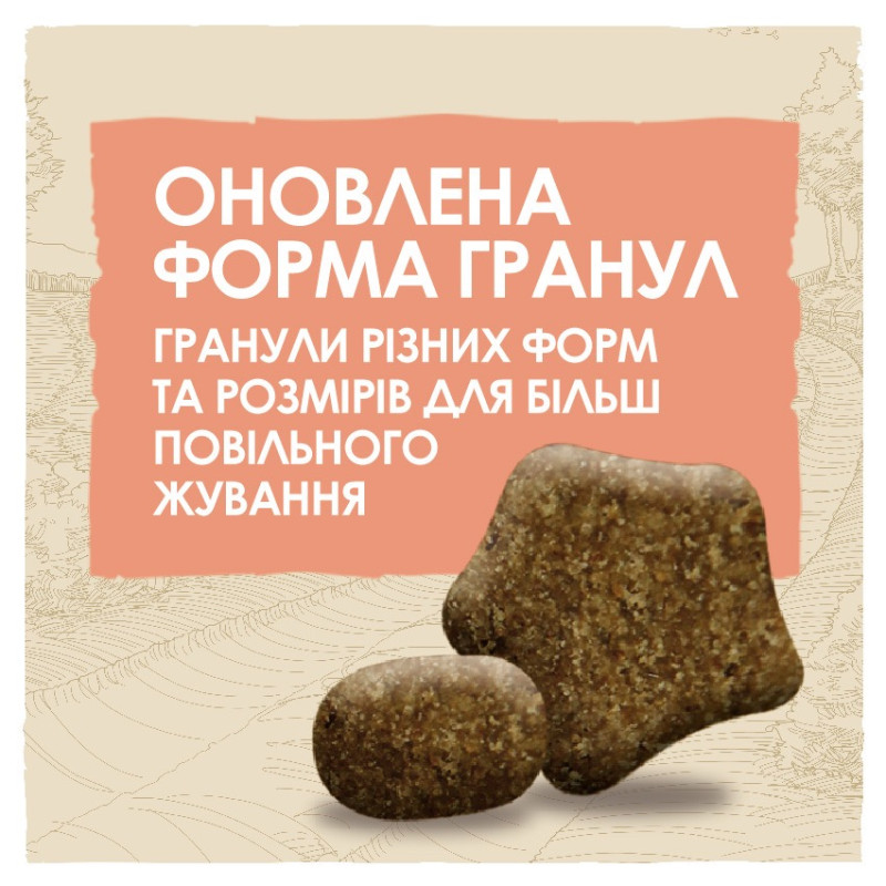 Dog Chow Active Chicken сухий корм для активних собак з куркою 14 кг - фото 4