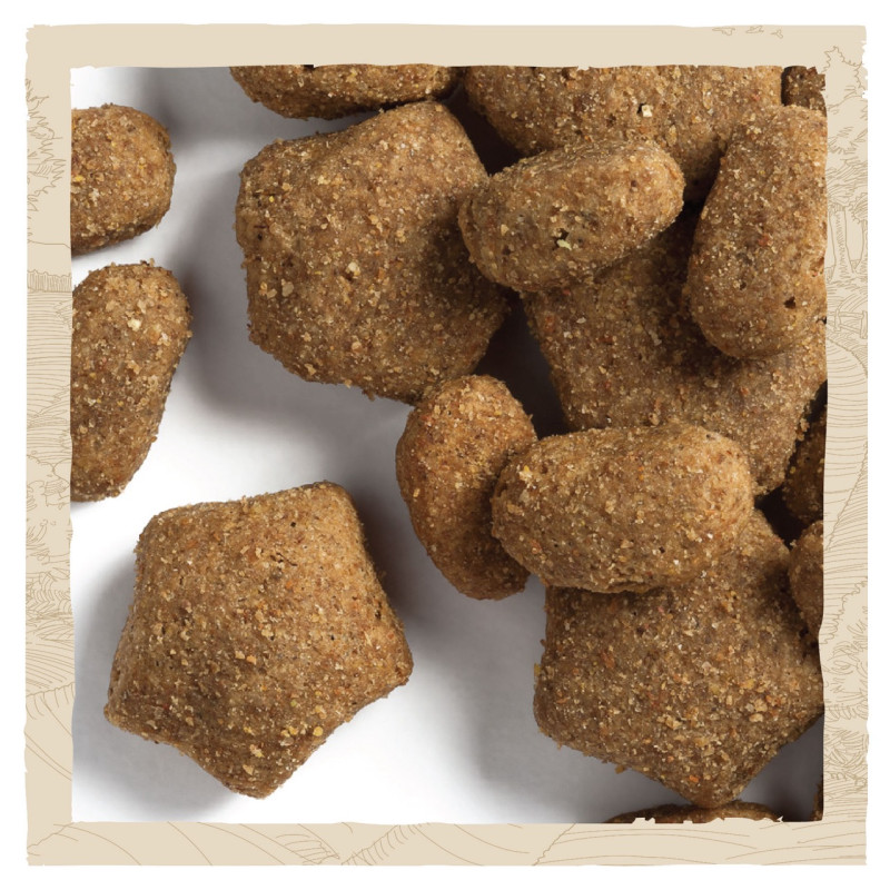 Dog Chow Active Chicken сухий корм для активних собак з куркою 14 кг - фото 5