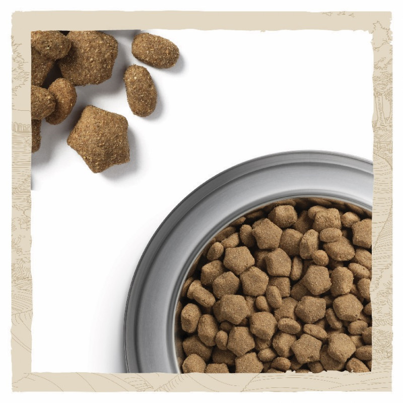 Dog Chow Active Chicken сухий корм для активних собак з куркою 14 кг - фото 6