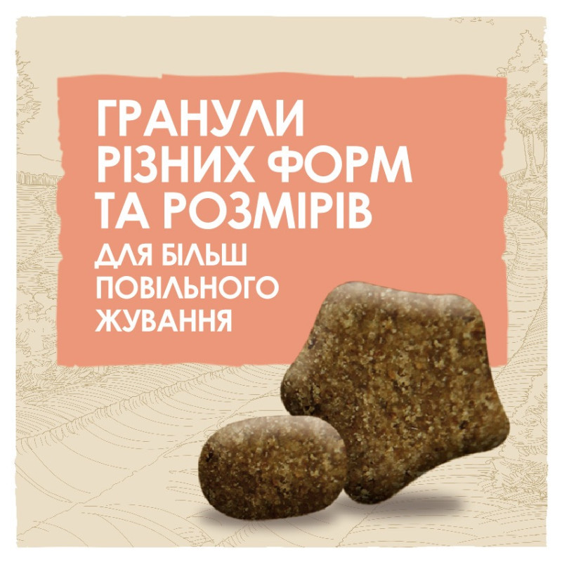 Dog Chow Sensitive сухий корм для собак з лососем 2.5 кг - фото 4