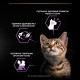 Purina Pro Plan Kitten набір вологого корму для кошенят з індичкою 85 гр х 10 шт - фото 5