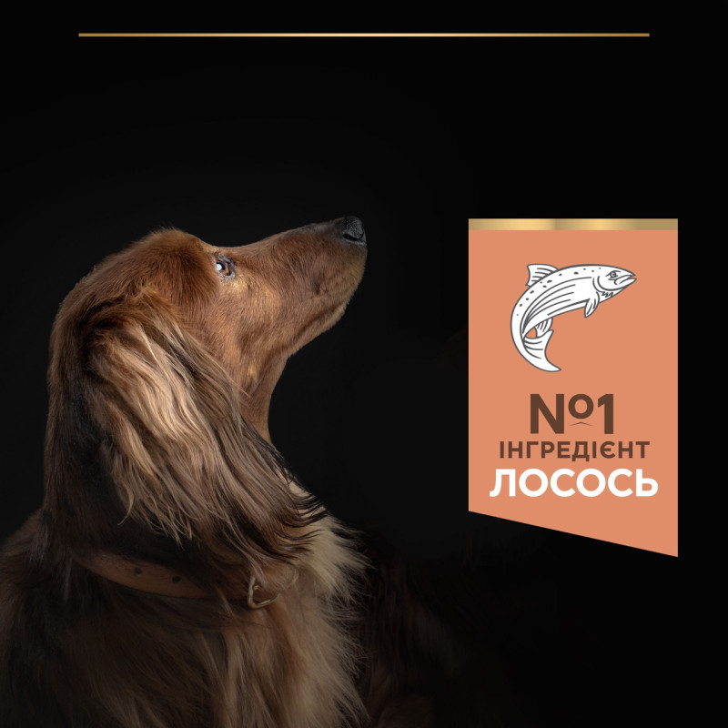 Purina Pro Plan Small & Mini Sensitive Skin сухой корм для собак малых пород с лососем 3 кг - фото 4