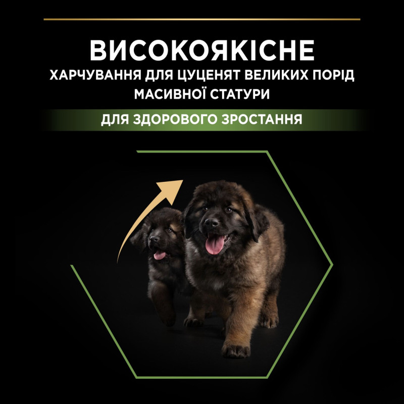 Purina Pro Plan Puppy Large Robust Healthy Start сухой корм для щенков крупных пород с курицей 12 кг - фото 3