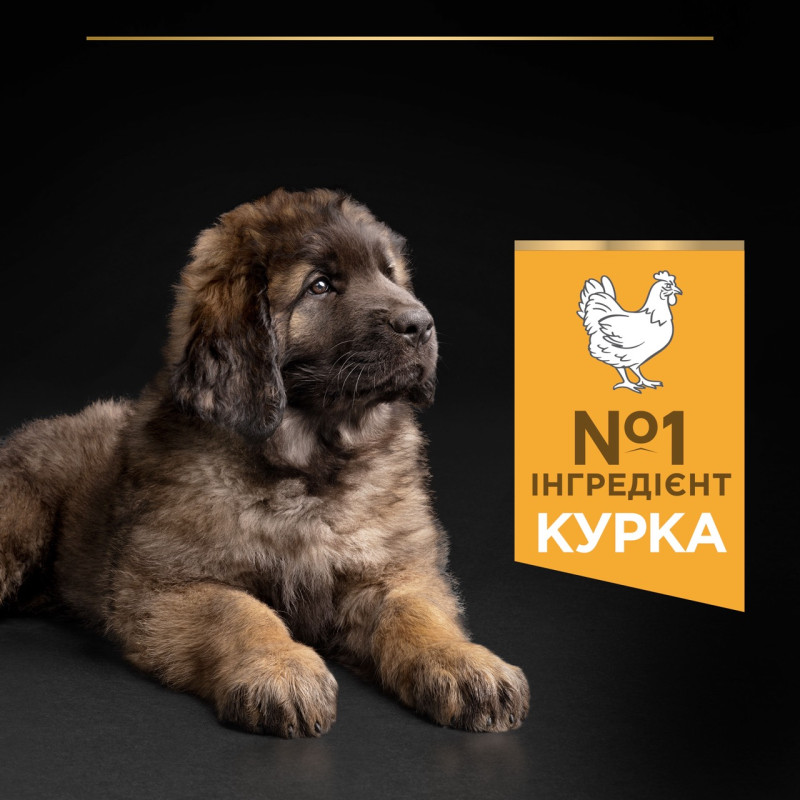 Purina Pro Plan Puppy Large Robust Healthy Start сухий корм для цуценят великих порід з куркою 12 кг - фото 4